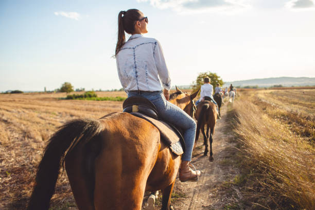 Menunggang Kuda yang Benar untuk Pengalaman yang Optimal